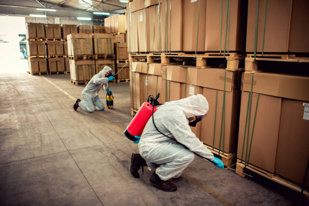Best Mosquito Control Services  in Lus Valley Marinwood, CA