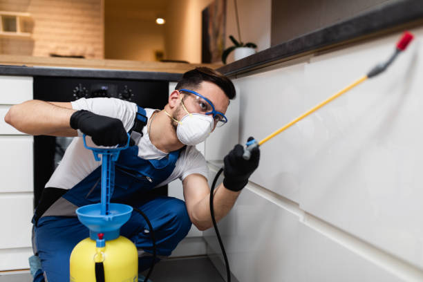  Lus Valley Marinwood, CA Pest Control Pros
