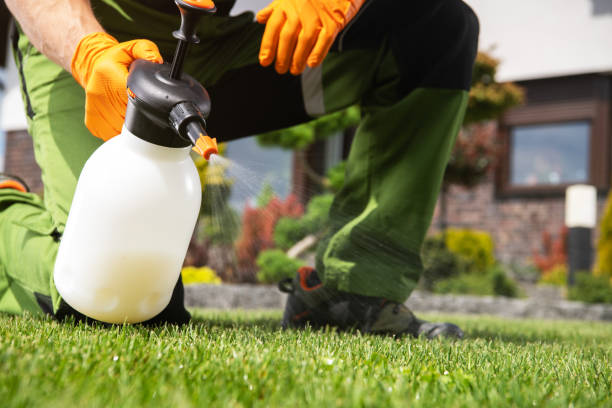 Best Commercial Pest Control Services  in Lus Valley Marinwood, CA