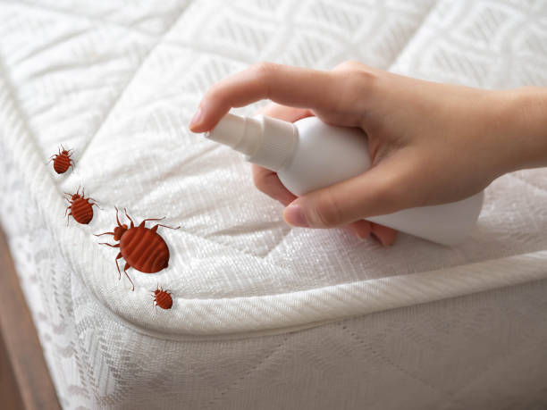Best Affordable Pest Control Services  in Lus Valley Marinwood, CA