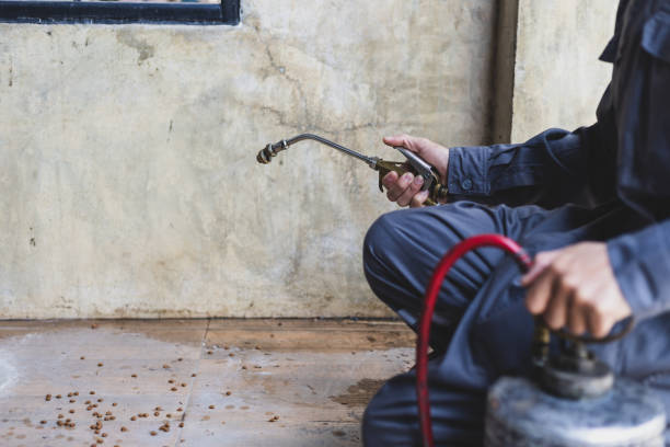 Best Wasp Removal Services  in Lus Valley Marinwood, CA