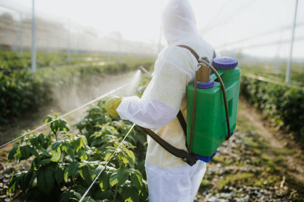 Best Flea Control Services  in Lus Valley Marinwood, CA